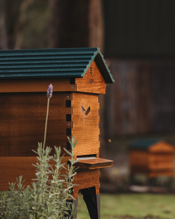 JOURNEY INTO THE WORLD OF BEES
